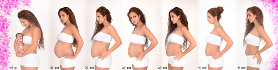 preg-stages
